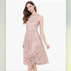 New With Tags✨ Light Pink Sleeveless Lace Fit Flare Elegant Dress